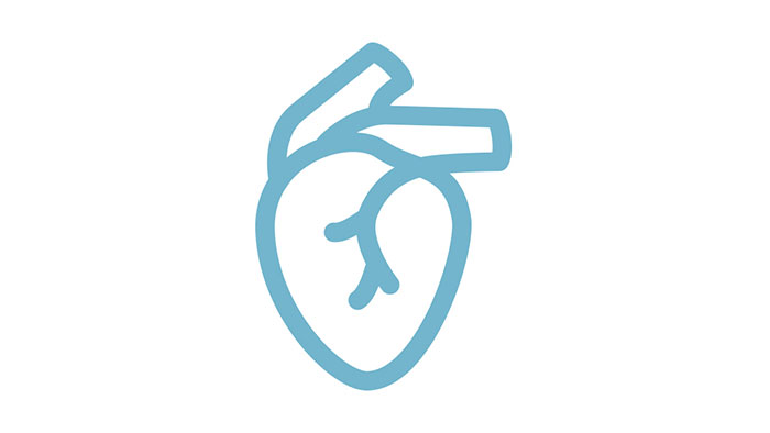 Échographie cardiovasculaire