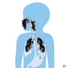 Masque disposant d'une bonne &eacute;tanch&eacute;it&eacute;