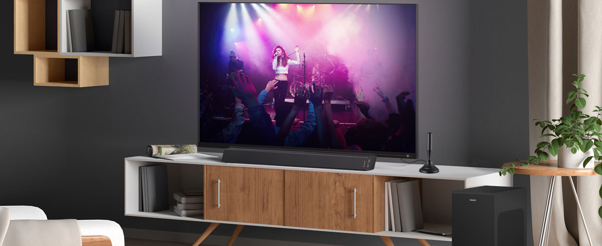 Salon moderne avec téléviseur, accessoires assortis et mobilier élégant