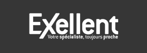 Exellent logo