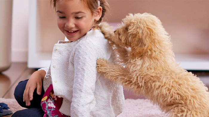 Comment laver un tapis