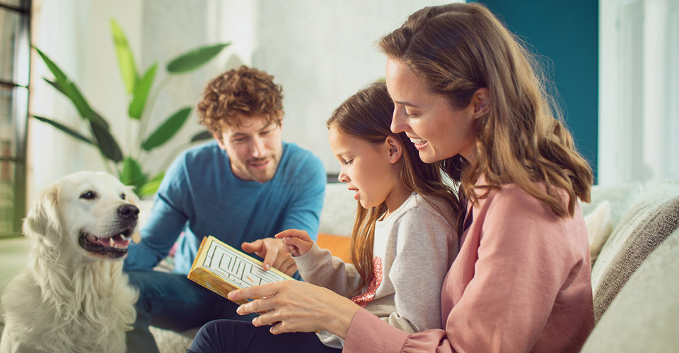 Allergie aux chats, que faire pour l&rsquo;&eacute;viter