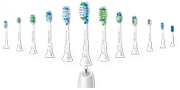 T&ecirc;tes de brosses &agrave; dents